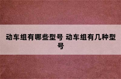 动车组有哪些型号 动车组有几种型号